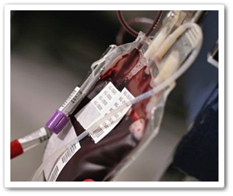 Berita Komuniti Kujie:PDN Perlukan Darah