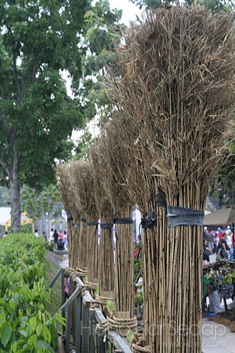Gambar Pesta Flora Putrajaya 2012