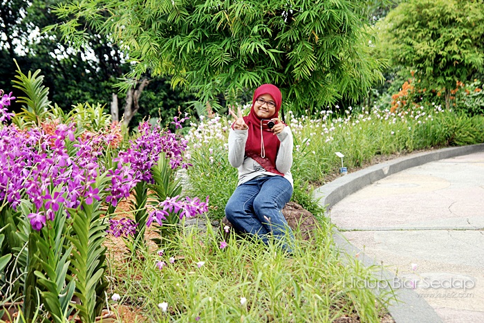 Kembang Perawan Di Taman Orkid Kuala Lumpur